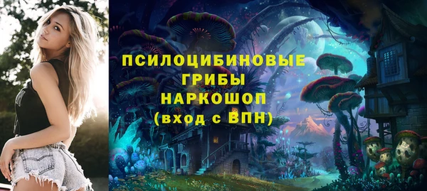 прущий лед Армянск