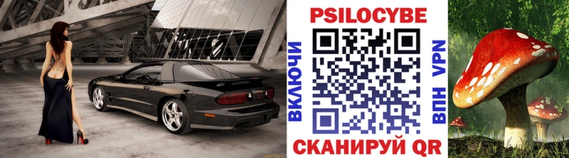 Купить  Абдулино  Псилоцибиновые грибы Psilocybe 